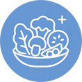 ikona
