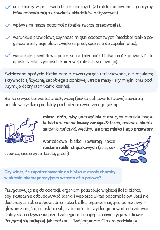 białko